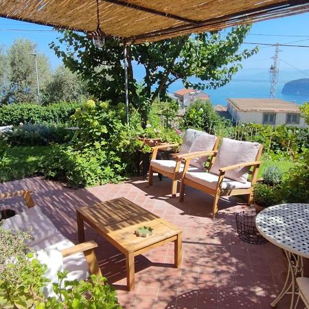 Bed and Breakfast Lally'S Garden Sorrento Exteriér fotografie
