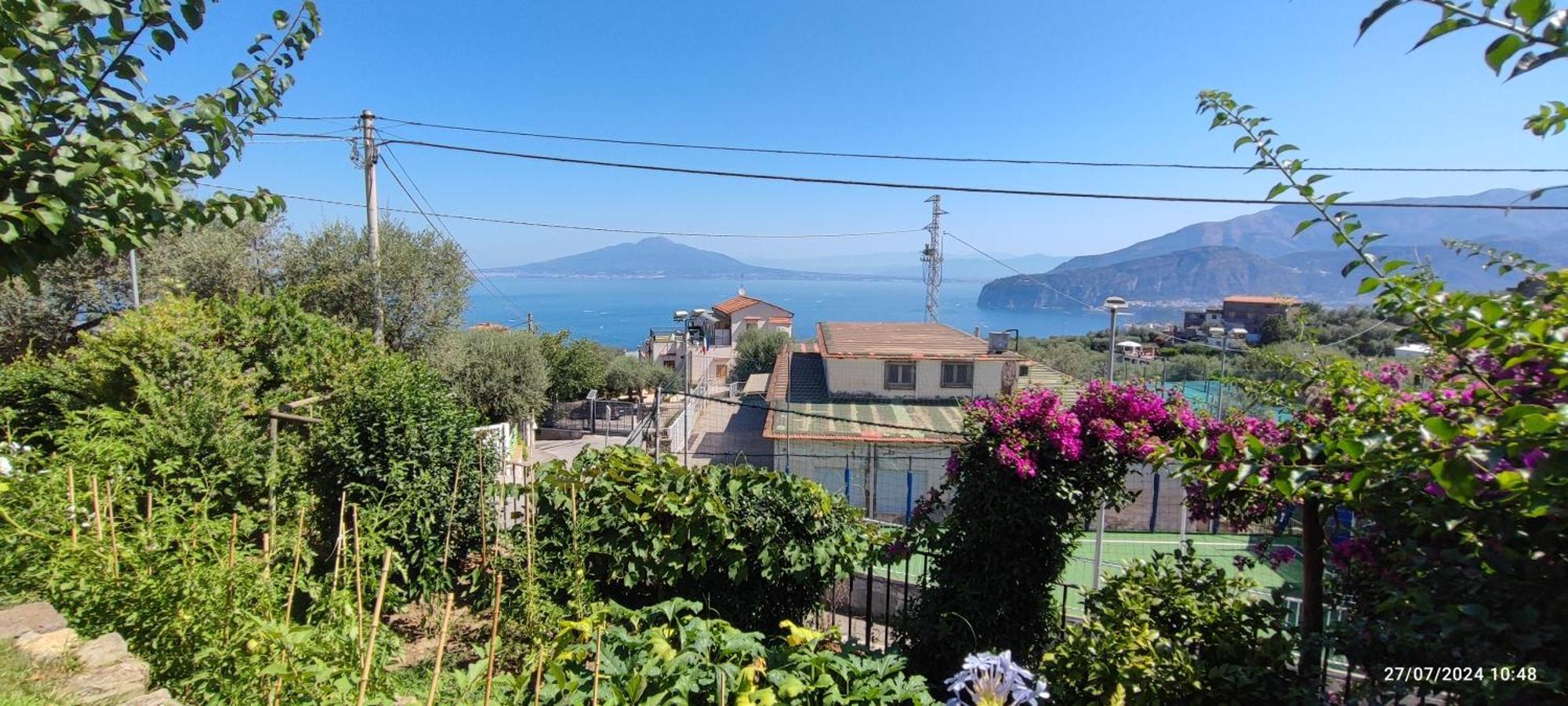 Bed and Breakfast Lally'S Garden Sorrento Exteriér fotografie