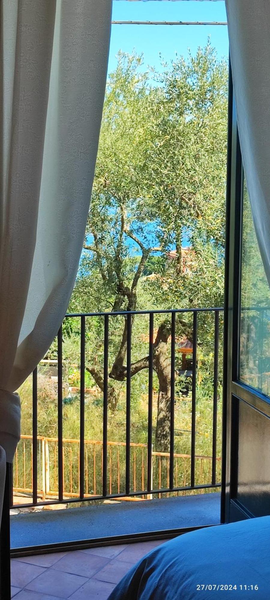 Bed and Breakfast Lally'S Garden Sorrento Exteriér fotografie